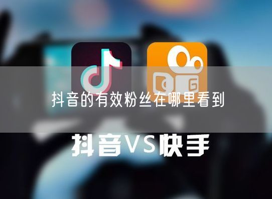 抖音的有效粉丝在哪里看到