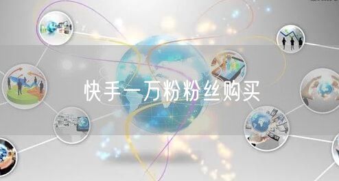 快手一万粉粉丝购买