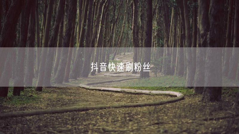 抖音快速刷粉丝