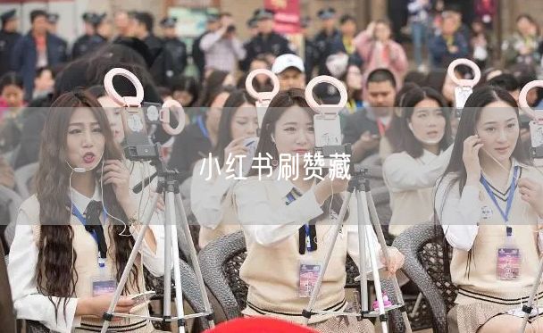 小红书刷赞藏