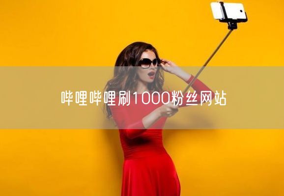 哔哩哔哩刷1000粉丝网站