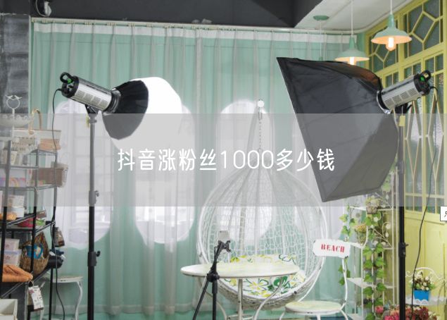 抖音涨粉丝1000多少钱