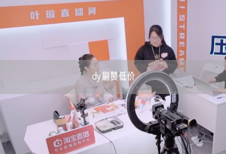 dy刷赞低价