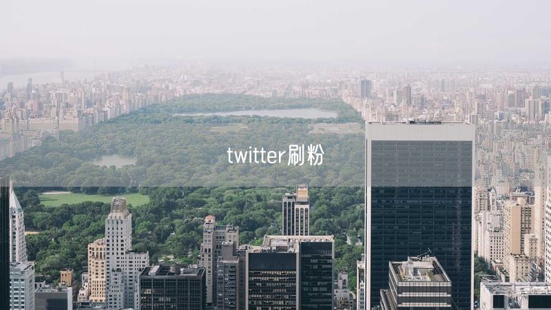 twitter刷粉