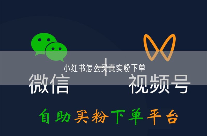 小红书怎么买真实粉下单