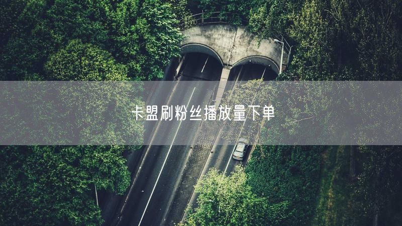 卡盟刷粉丝播放量下单