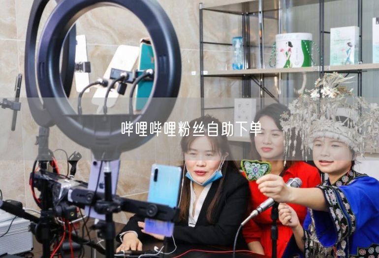 哔哩哔哩粉丝自助下单