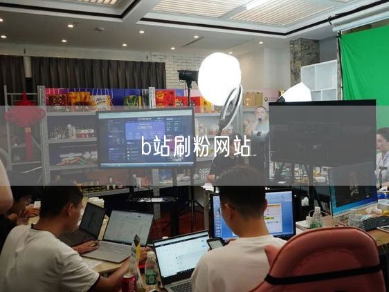 b站刷粉网站