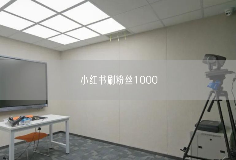 小红书刷粉丝1000