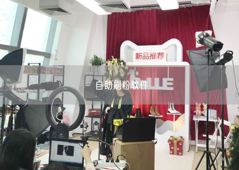 自助刷粉软件