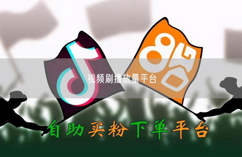 视频刷播放量平台